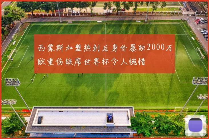 西蒙斯加盟热刺后身价暴跌2000万欧重伤缺席世界杯令人惋惜