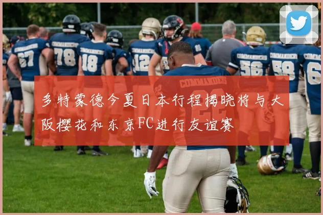 多特蒙德今夏日本行程揭晓将与大阪樱花和东京FC进行友谊赛