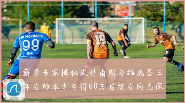 薪资专家揭秘皮特南斯与雄鹿签三年合约本季可得60万后续合同无保障
